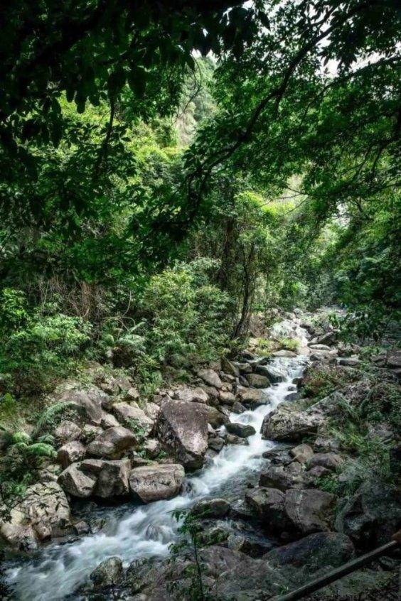 拿破仑：全面战争